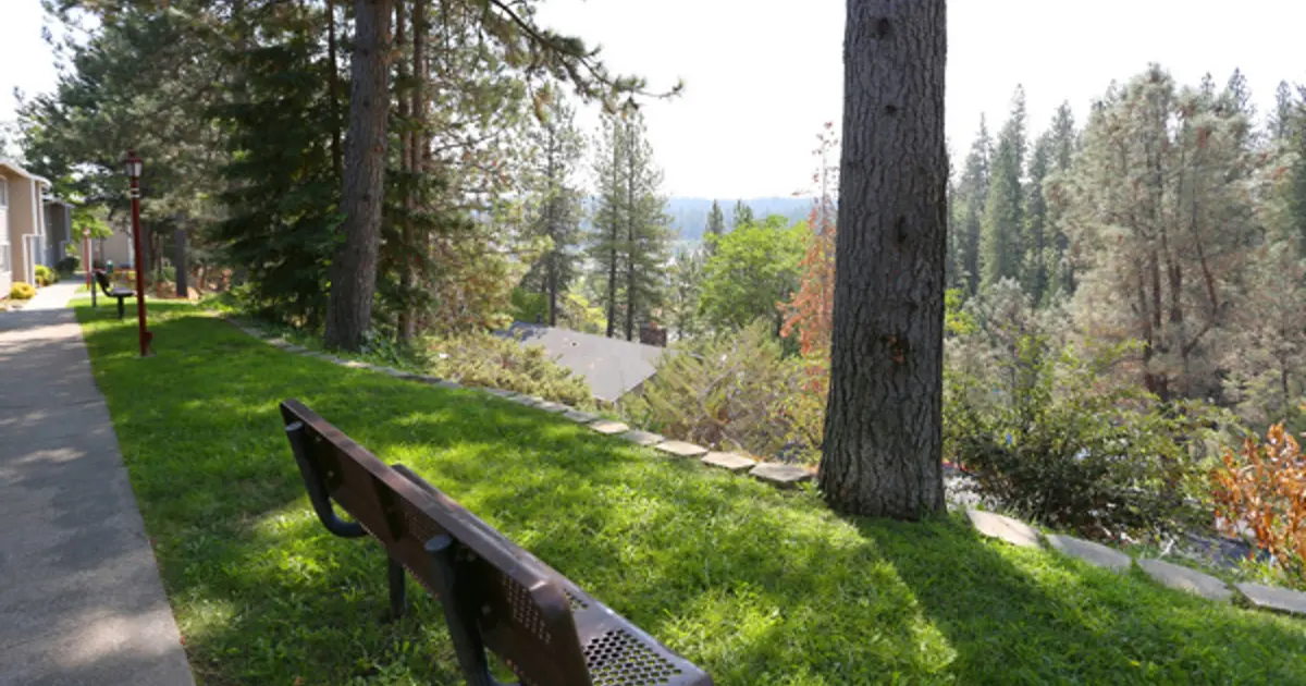 Home Berryhill Apartments